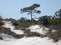 Little Talbot Island State Park